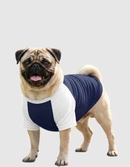 PP001-maglietta-cane-1