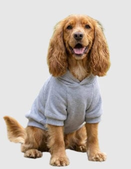 PP002-felpa-cane.jpg