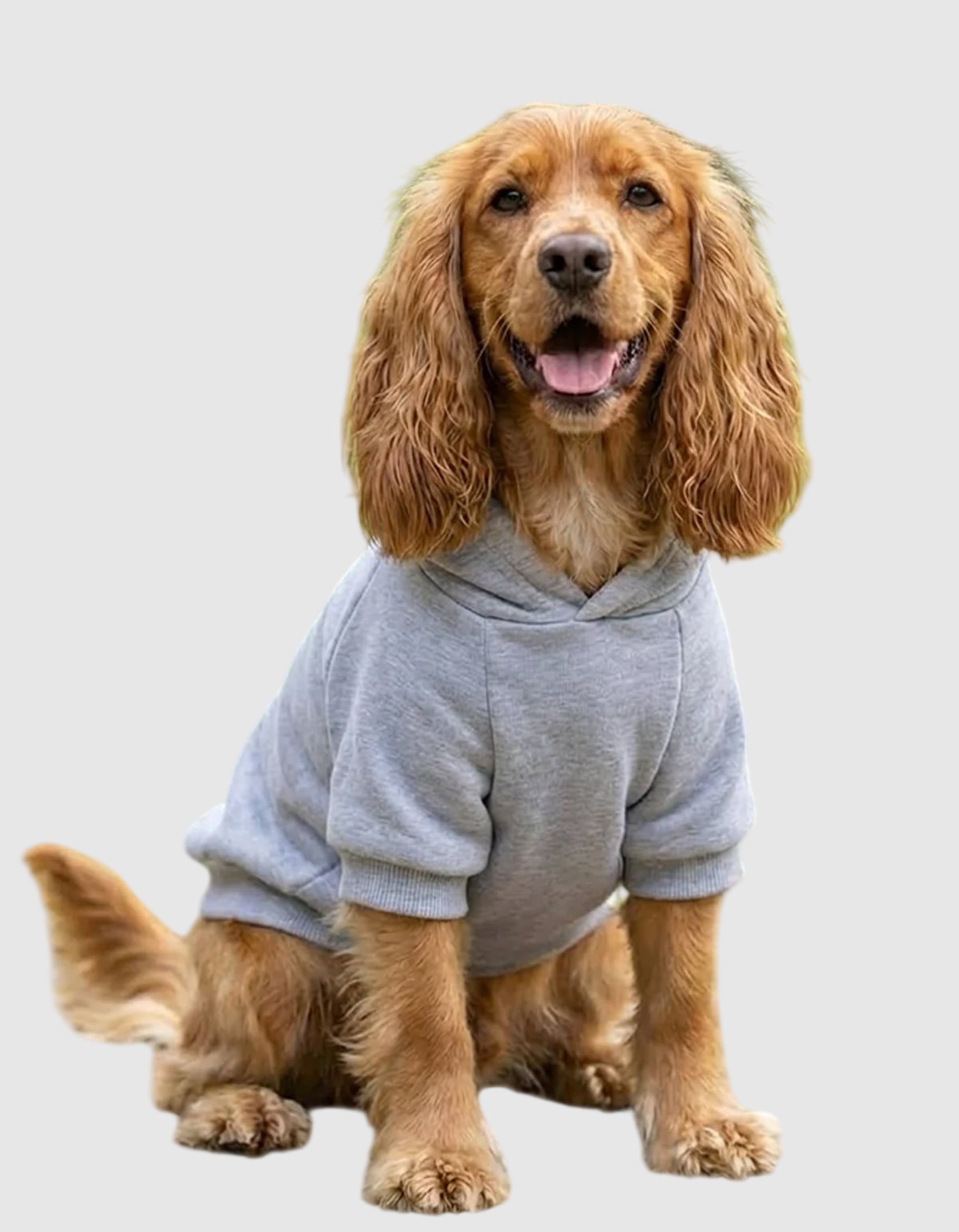 Pp002-felpa-cane. Jpg