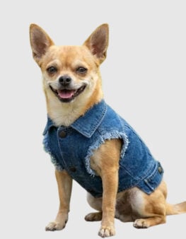 PP003-giubbotto-jeans-per-cani.