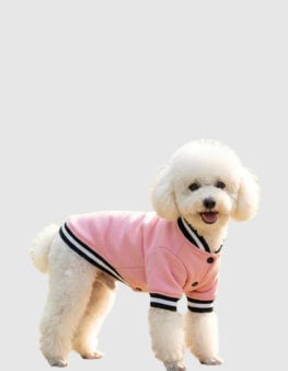 PP005-giacca-college-per-cani-1
