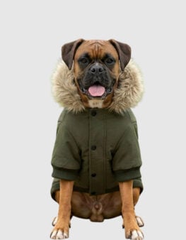 PP006-giacca-parka-per-cani