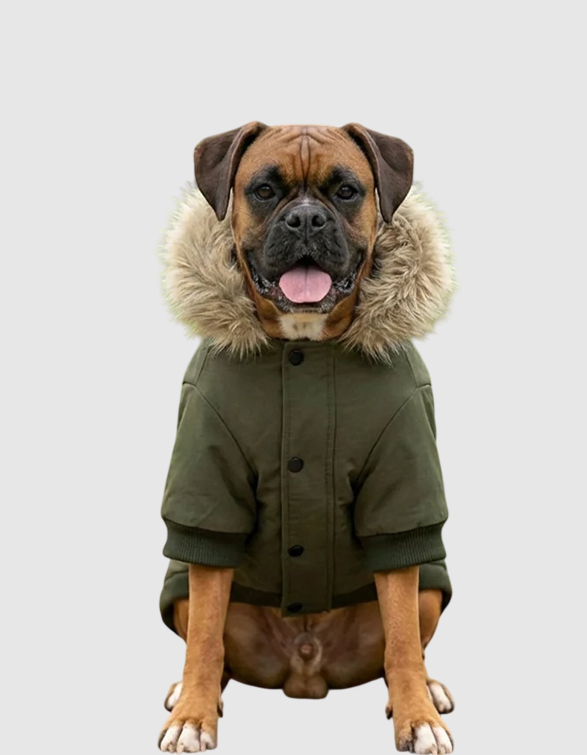 Pp006-giacca-parka-per-cani