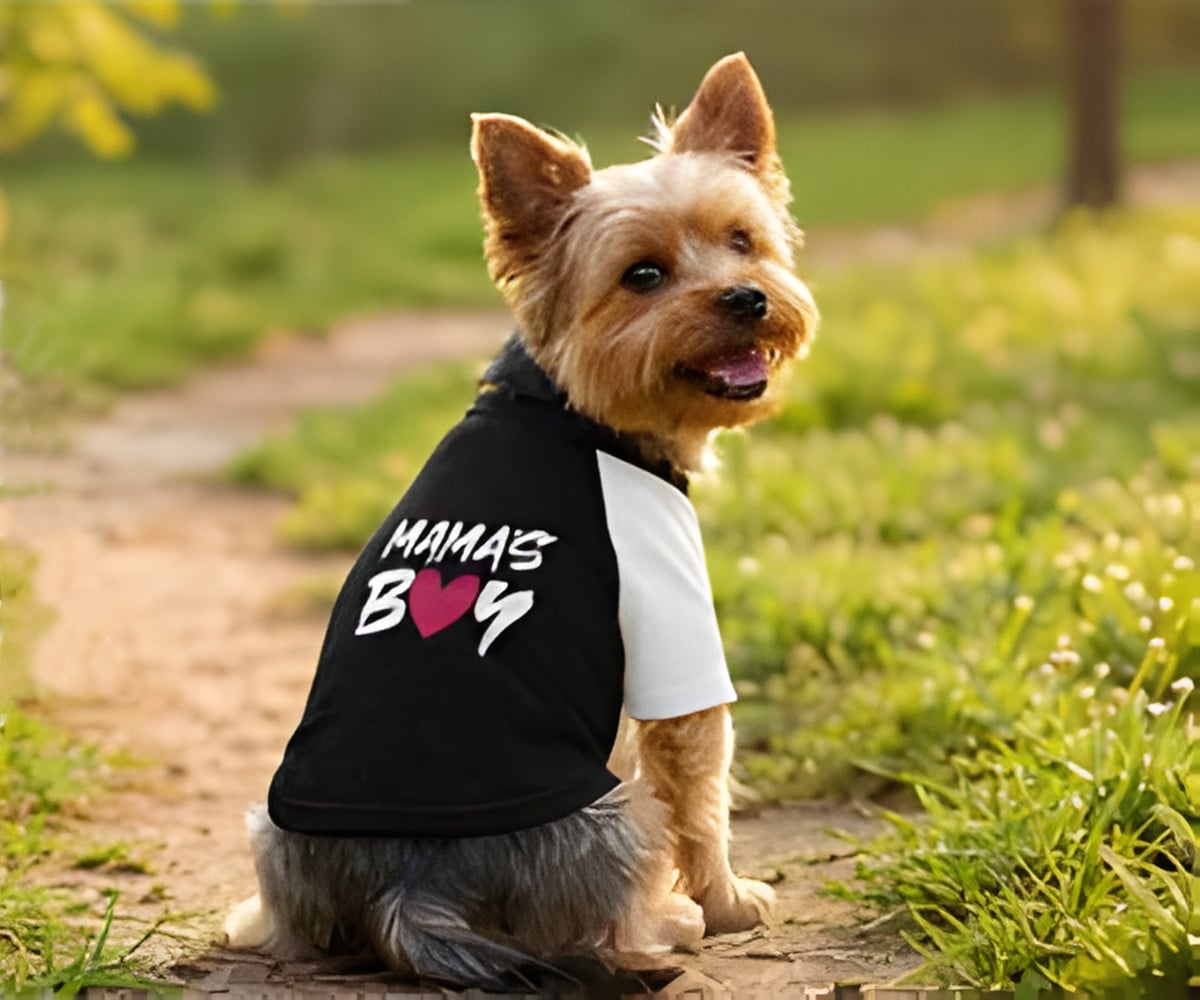 Abbigliamento cani personalizzato
