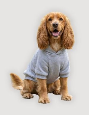 Abbigliamento cani