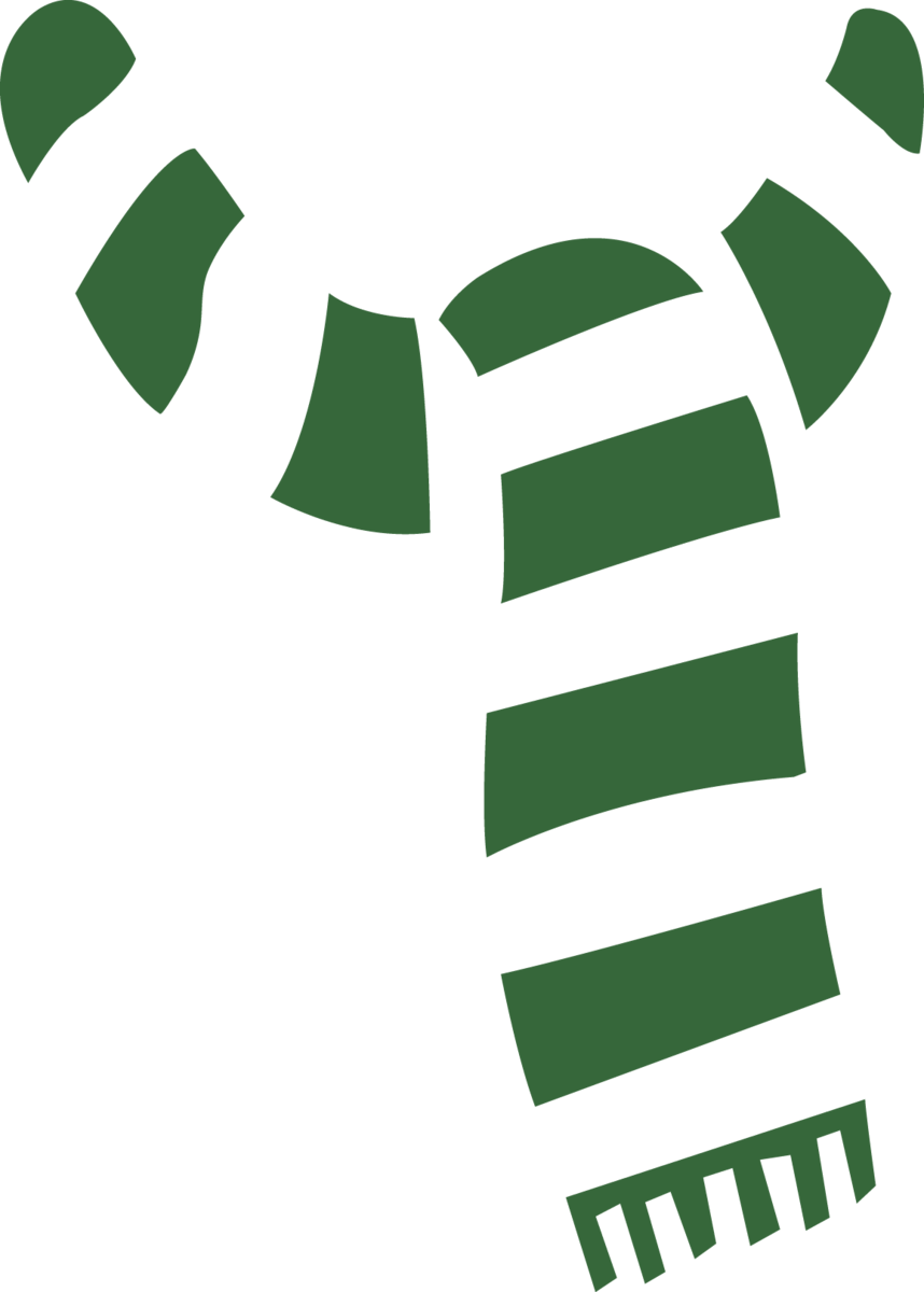 Eshirt.it